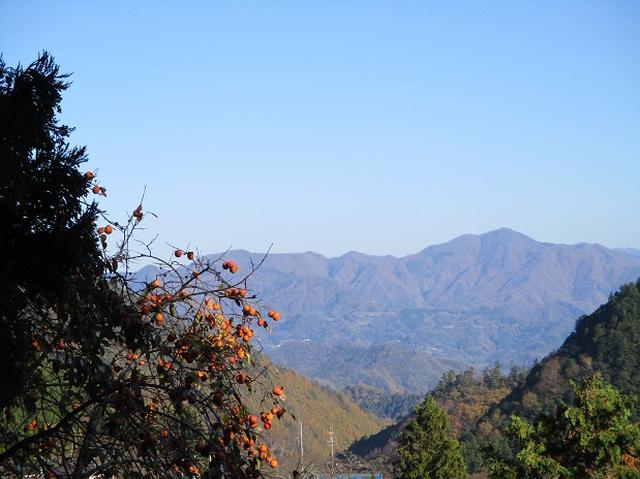 画像12: 11月21日に岡田ガイドのコースで、山梨県富士川町にたたずむ 大柳川渓谷 へ行って来ました♪