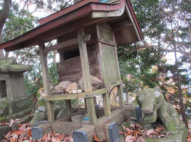 画像5: 11月22日に岡田ガイドの現地集合コースで、 戸倉三山の1つ、 臼杵山 へ行って来ました♪
