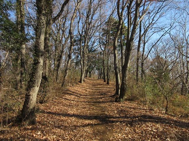画像9: 【山旅会・登山ガイドこだわりツアー】岡田ガイドからの便り・聖峰から高取山ツアーのご案内