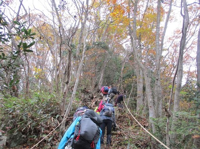 画像3: 11月22日に岡田ガイドの現地集合コースで、 戸倉三山の1つ、 臼杵山 へ行って来ました♪