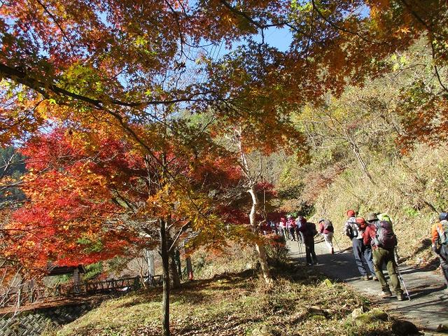 画像7: 11月21日に岡田ガイドのコースで、山梨県富士川町にたたずむ 大柳川渓谷 へ行って来ました♪