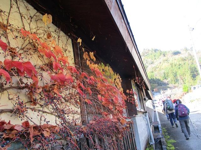 画像1: 11月21日に岡田ガイドのコースで、山梨県富士川町にたたずむ 大柳川渓谷 へ行って来ました♪