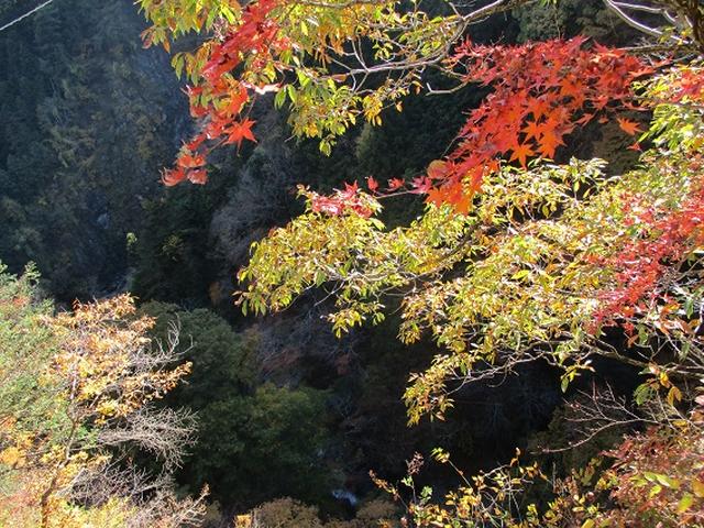 画像11: 11月21日に岡田ガイドのコースで、山梨県富士川町にたたずむ 大柳川渓谷 へ行って来ました♪