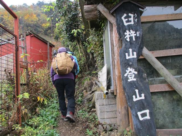 画像1: 11月22日に岡田ガイドの現地集合コースで、 戸倉三山の1つ、 臼杵山 へ行って来ました♪