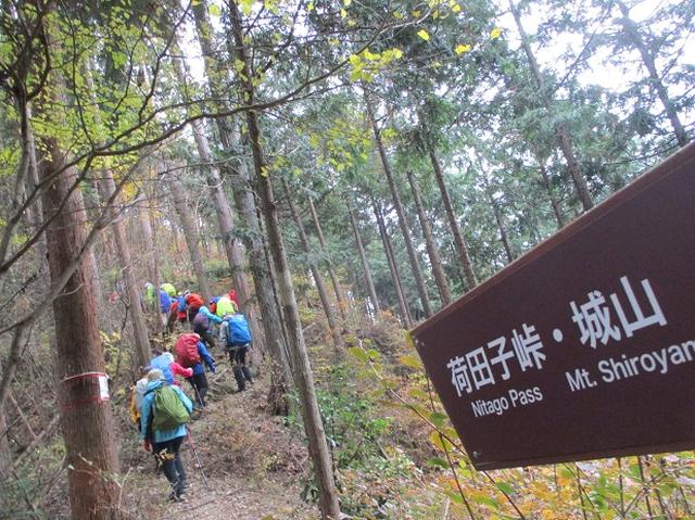 画像8: 11月22日に岡田ガイドの現地集合コースで、 戸倉三山の1つ、 臼杵山 へ行って来ました♪