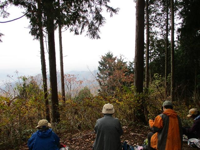 画像7: 11月22日に岡田ガイドの現地集合コースで、 戸倉三山の1つ、 臼杵山 へ行って来ました♪