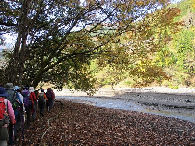 画像4: 11月21日に岡田ガイドのコースで、山梨県富士川町にたたずむ 大柳川渓谷 へ行って来ました♪