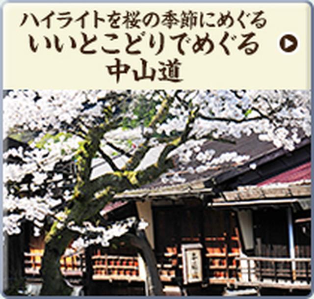 画像: 街並みあるきや山あるきなど、街道あるきの醍醐味をぎゅっと凝縮!桜の時期にあわせて厳選したスポットを「美濃路編」「木曽路編」の2回でめぐります。 tour.club-t.com