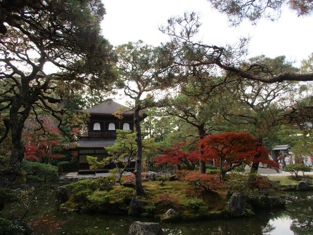 画像4: 11月27日より2泊3日で 山旅会 「京都」 ツアーへ行ってまいりました