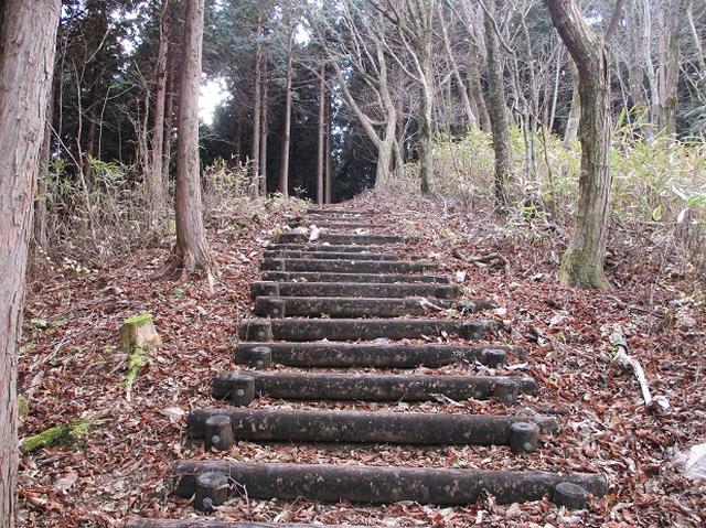 画像3: 12月の山旅会 「思親山」 の直前下見報告です