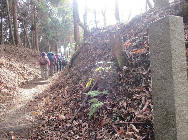画像4: 先日11月27日より2泊3日で 山旅会 「京都」 ツアーにいってまいりました!
