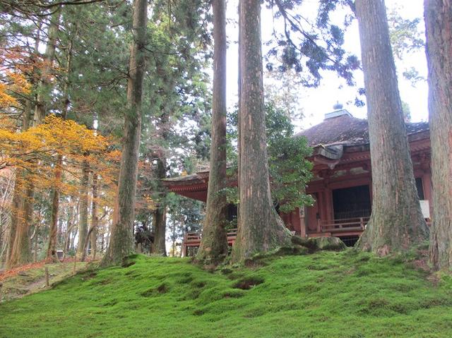 画像8: 先日11月27日より2泊3日で 山旅会 「京都」 ツアーにいってまいりました!