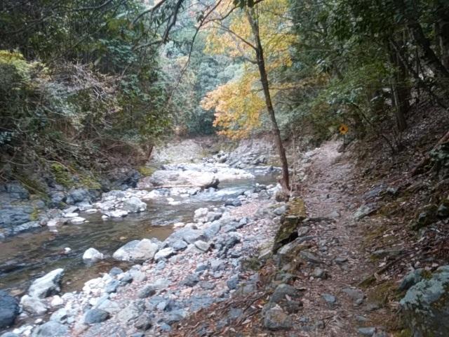 画像8: 11月27日より2泊3日で 山旅会 「京都」 ツアーへ行ってまいりました