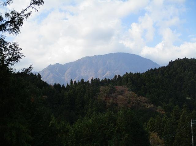 画像10: 12月の山旅会 「思親山」 の直前下見報告です