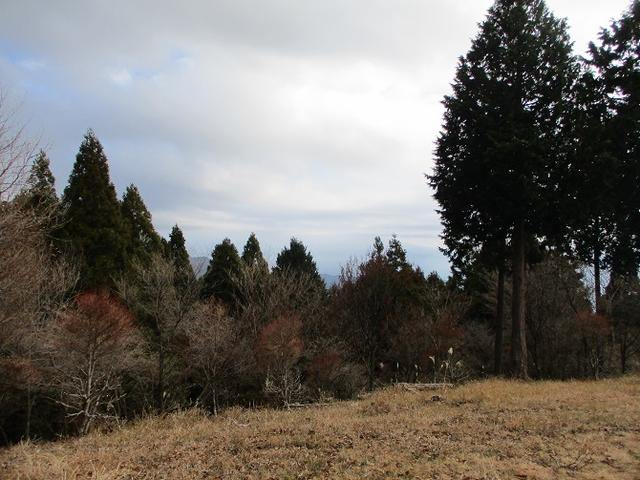 画像6: 12月の山旅会 「思親山」 の直前下見報告です