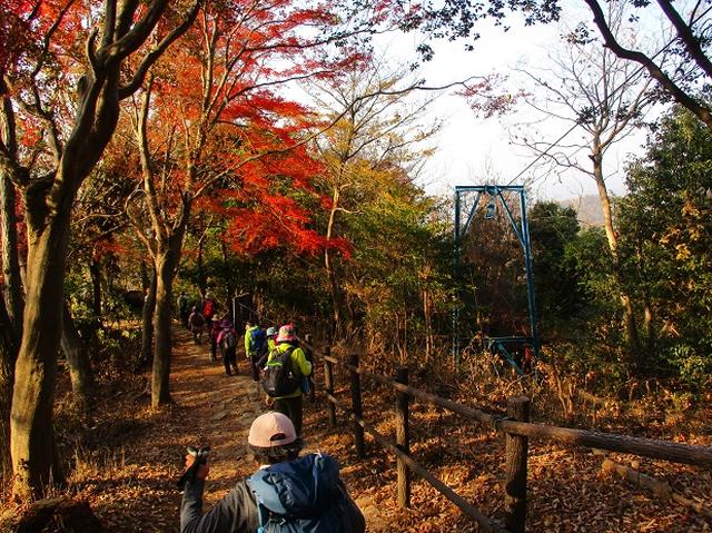 画像3: 11月27日より2泊3日で 山旅会 「京都」 ツアーへ行ってまいりました