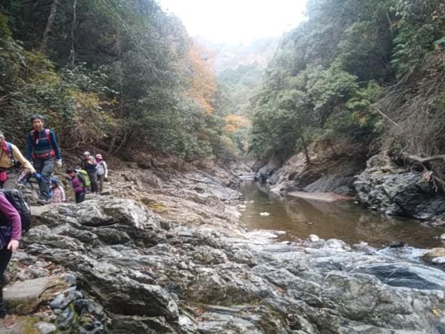 画像10: 11月27日より2泊3日で 山旅会 「京都」 ツアーへ行ってまいりました