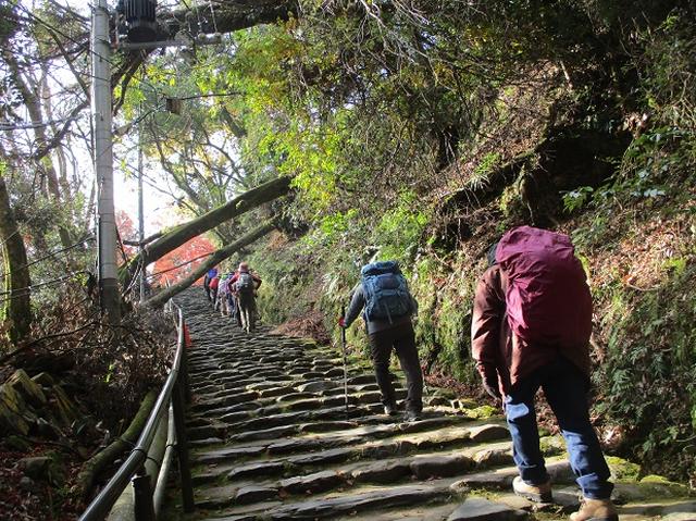 画像6: 11月27日より2泊3日で 山旅会 「京都」 ツアーへ行ってまいりました