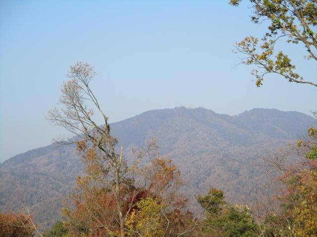 画像2: 11月27日より2泊3日で 山旅会 「京都」 ツアーへ行ってまいりました