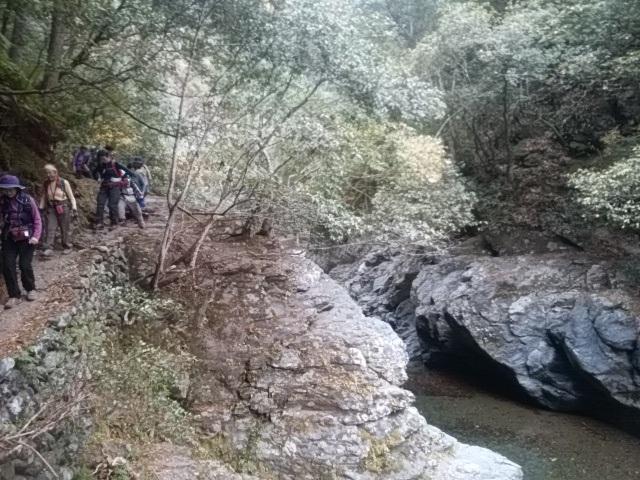 画像9: 11月27日より2泊3日で 山旅会 「京都」 ツアーへ行ってまいりました