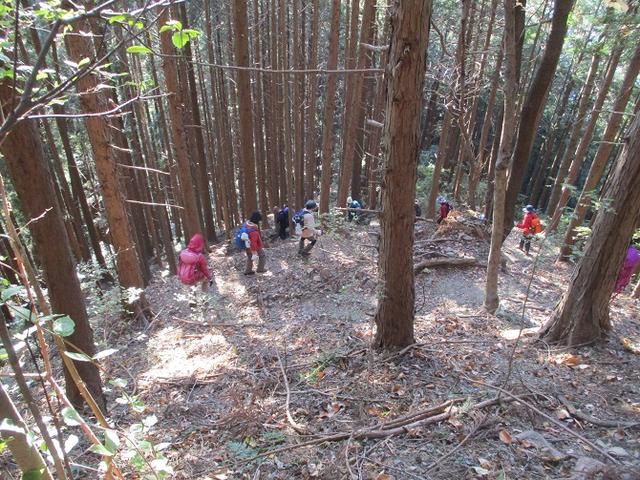 画像8: 岡田健ガイドより、吾野から竹寺ツアーのご報告