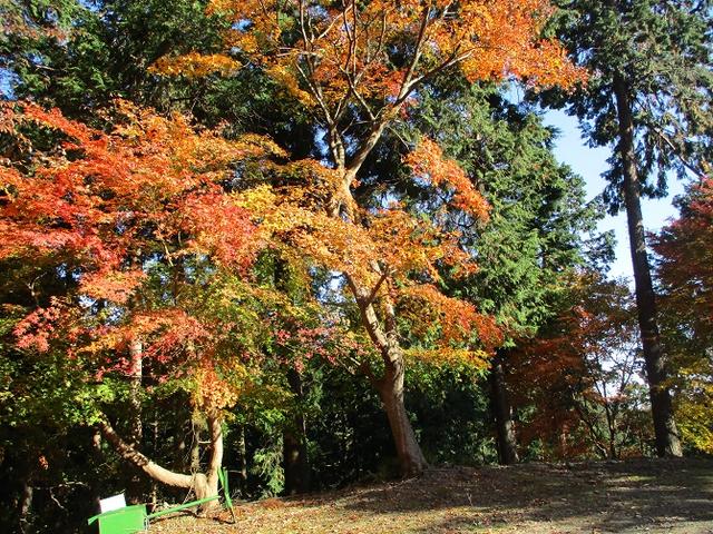 画像4: 岡田健ガイドより、吾野から竹寺ツアーのご報告