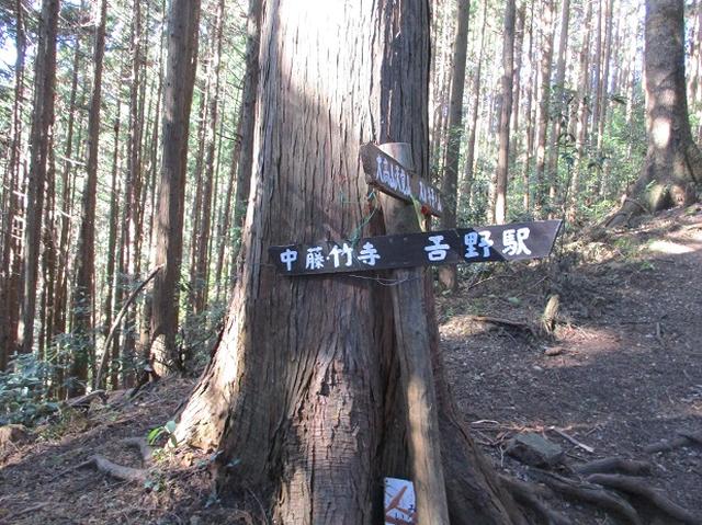画像2: 岡田健ガイドより、吾野から竹寺ツアーのご報告