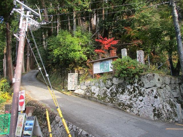 画像2: 岡田健ガイドより、12月の山旅会ツアー直前下見の報告