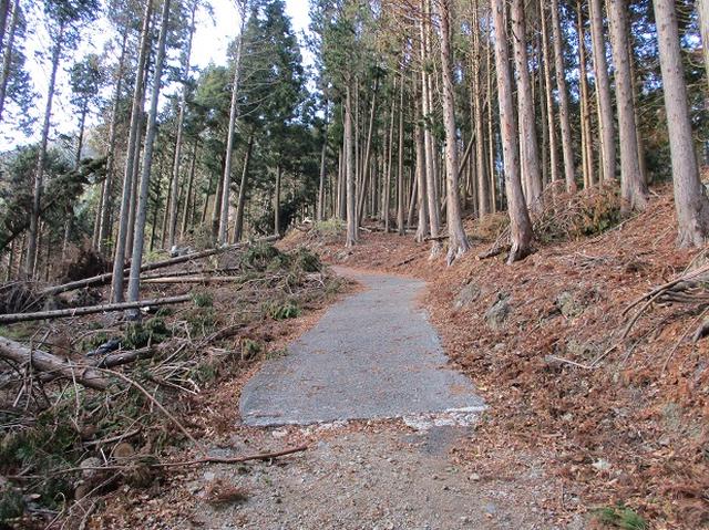 画像7: 岡田健ガイドより、12月の山旅会ツアー直前下見の報告