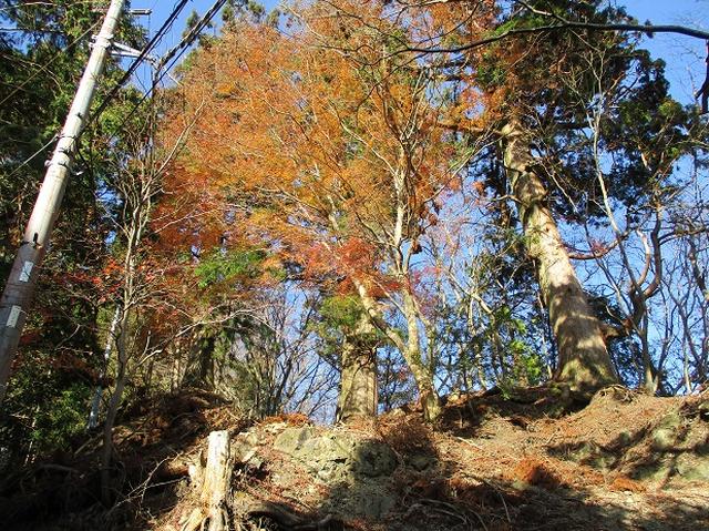 画像8: 岡田健ガイドより、12月の山旅会ツアー直前下見の報告