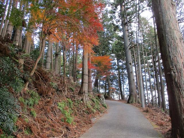 画像5: 岡田健ガイドより、12月の山旅会ツアー直前下見の報告