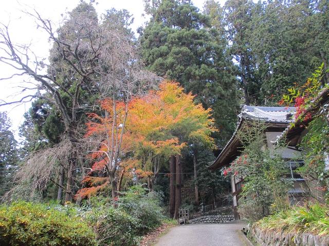画像4: 岡田健ガイドより、12月の山旅会ツアー直前下見の報告