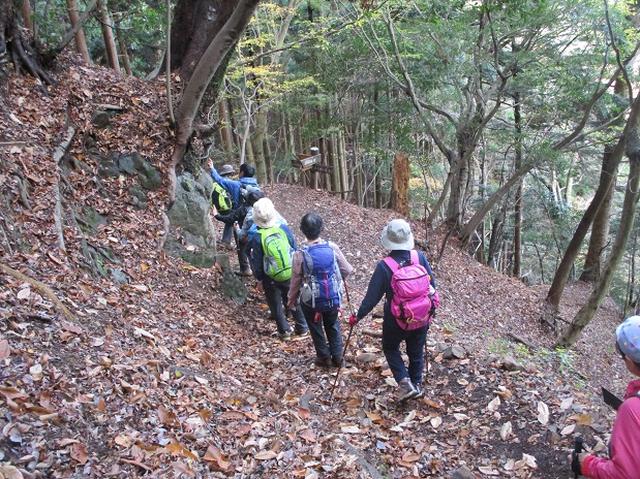 画像7: 岡田健ガイドより、山旅会「大山」ツアーのご報告