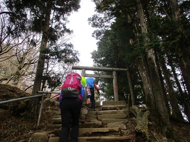 画像5: 岡田健ガイドより、山旅会「大山」ツアーのご報告