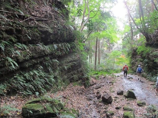 画像11: 岡田健ガイドより、現地集合ツアー「能見台から大丸山」の直前下見報告