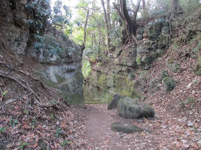 画像7: 岡田健ガイドより、現地集合ツアー「能見台から大丸山」の直前下見報告