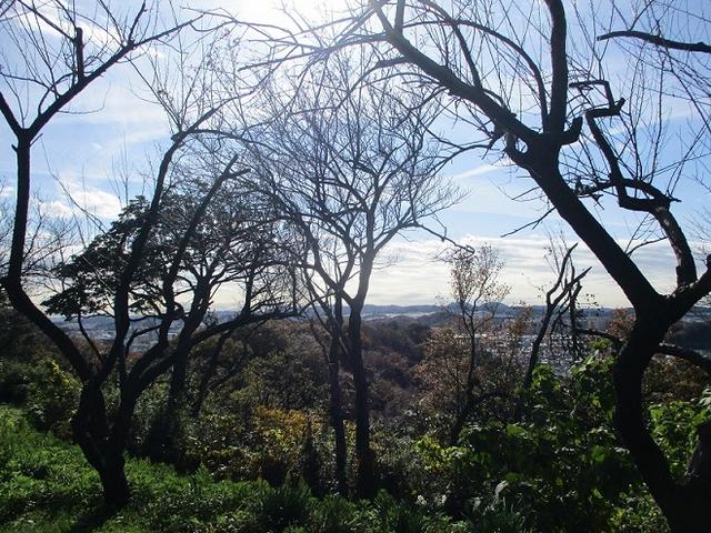 画像2: 岡田健ガイドより、現地集合ツアー「能見台から大丸山」の直前下見報告