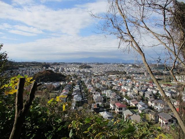 画像6: 岡田健ガイドより、現地集合ツアー「能見台から大丸山」の直前下見報告