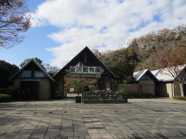画像4: 岡田健ガイドより、現地集合ツアー「能見台から大丸山」の直前下見報告