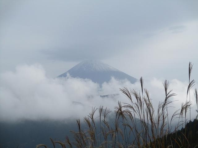 画像2: 12月7日の岡田ガイドのコースで 「思親山」 に行って来ました!