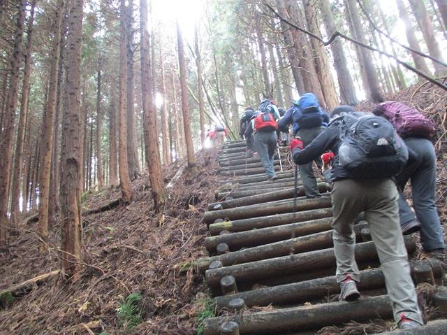 画像4: 12月7日の岡田ガイドのコースで 「思親山」 に行って来ました!