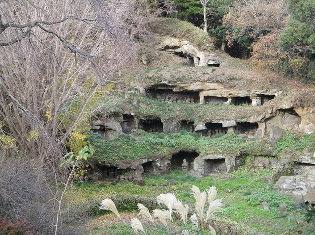 画像12: このツアーは 「鎌倉から三浦半島を歩こう(全15回)」 の3回目のツアーです