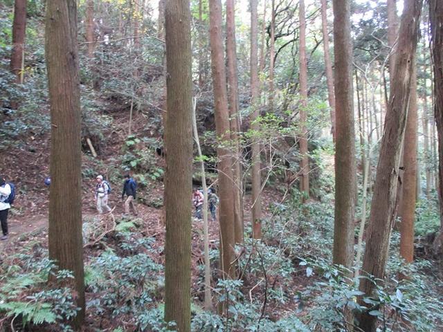 画像2: このツアーは 「鎌倉から三浦半島を歩こう(全15回)」 の3回目のツアーです