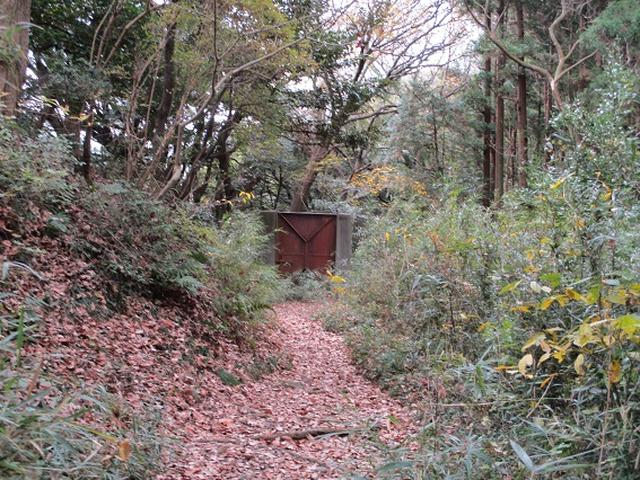 画像6: このツアーは 「鎌倉から三浦半島を歩こう(全15回)」 の3回目のツアーです