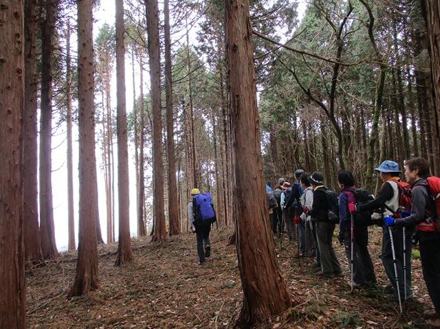 画像8: 12月7日の岡田ガイドのコースで 「思親山」 に行って来ました!