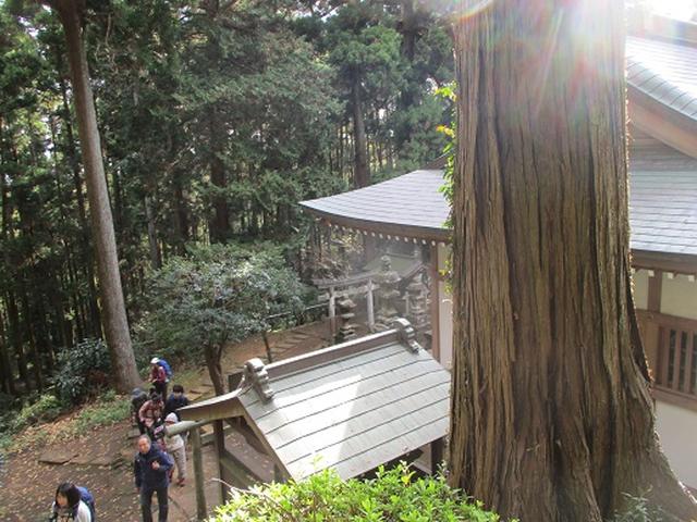 画像3: このツアーは 「鎌倉から三浦半島を歩こう(全15回)」 の3回目のツアーです