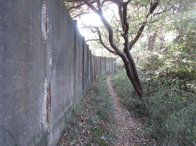 画像7: このツアーは 「鎌倉から三浦半島を歩こう(全15回)」 の3回目のツアーです