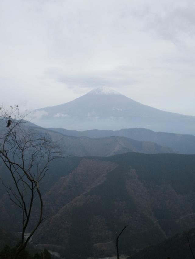 画像9: 12月7日の岡田ガイドのコースで 「思親山」 に行って来ました!