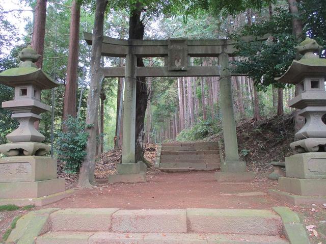 画像3: 12月の山旅会現地集合 「鐘ヶ岳」 ツアーの直前下見報告です