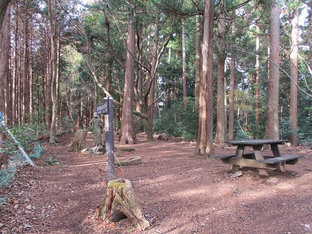 画像12: 12月の山旅会現地集合 「鐘ヶ岳」 ツアーの直前下見報告です